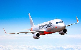 Máy bay của Jetstar phải ở lại sân bay Đồng Hới nhiều giờ vì... chim