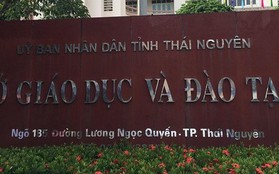 Thái Nguyên: Tỉ lệ điểm môn Ngữ văn trên 9 cao gấp 5 lần cả nước