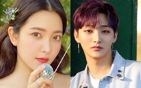 Cùng bị gọi là "hố đen vũ đạo” nhưng phản ứng của netizen với Yeri (Red Velvet) và Jisung (Wanna One) mới thật bất ngờ