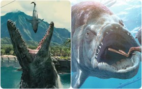 Đây là 5 con quái vật tiền sử cũng xứng đáng được lên phim giống Megalodon