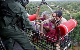 "Vừa mở cửa nước tràn vào nhà, ra tới đường nước sâu đến cổ"