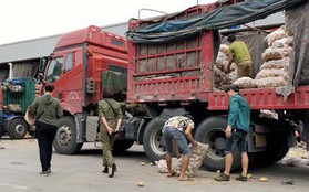 "Lật mặt" nông sản Trung Quốc nhái hàng Đà Lạt