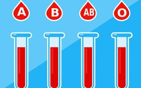 Đột phá cứu mạng hàng triệu người: Các nhà khoa học chuyển hiệu quả máu nhóm A,B thành nhóm O, có thể truyền cho bất kỳ ai