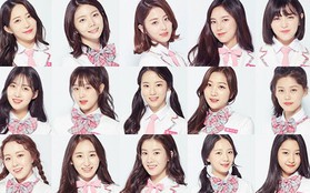 Dispatch phát hiện đường dây bình chọn bất hợp pháp cho "Produce 48"