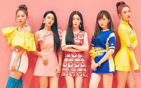 Suýt nữa nữ Idol này đã ra mắt với tư cách thành viên của Red Velvet!