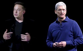 Chỉ trong năm nay, Apple đã "thó" ít nhất 46 kĩ sư từ công ty xe điện của Elon Musk