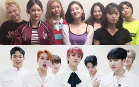 Ngoài chào fan Việt, MOMOLAND và Monsta X còn nói gì khi sắp đến TP.HCM?