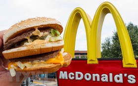 Mỹ: Gần 400 người bị nhiễm khuẩn đường ruột do salad của McDonald's