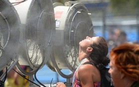 Châu Âu hứng chịu nắng nóng kỷ lục: Cuộc sống của người dân đảo lộn