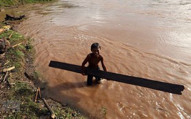 Hình ảnh trẻ em Điện Biên liều mình vớt củi giữa dòng nước lũ