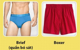 Brief vs boxer: Tranh cãi kinh điển về quần lót nào tốt đã có hồi kết bằng nghiên cứu này