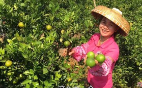 Bán 1,5 triệu kg nông sản qua các nền tảng video, Cô nông dân 37 tuổi giúp vùng quê Trung Quốc thoát nghèo chỉ trong 1 năm