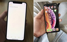 Hóa ra iPhone XS lại là cái tên tuyệt vời cho smartphone mới của Apple