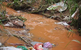 Hàng trăm hộ dân ở Đà Lạt bỏ hoang vườn tược vì nguồn nước bị ô nhiễm từ chợ nông sản