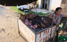 Tiểu thương bán thịt chó ở Hà Nội: "Chỉ cần tăng cuờng kiểm dịch chứ không nên cấm"