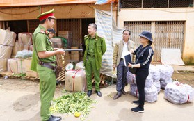 Tiểu thương chợ Nông sản Đà Lạt xin lùi thời gian chuyển khoai tây Trung Quốc tồn kho ra ngoài