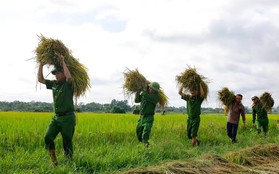 Công an giúp người dân di dời nhà cửa, gặt lúa “chạy” bão Mangkhut