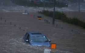 Bão Mangkhut xô nghiêng nhà cửa, người già ở Hồng Kông quyết không sơ tán