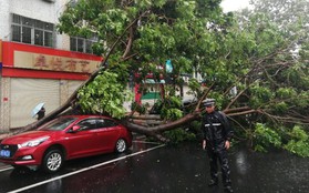 Siêu bão Mangkhut khiến giao thông công cộng tại Quảng Đông (Trung Quốc) tê liệt