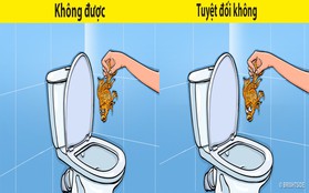 8 loại rác tuyệt đối không vứt vào bồn cầu nếu không muốn có ngày WC ngập ngụa trong nước thải