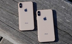 Năm nay iPhone chỉ còn biết cạnh tranh bằng màu và kích cỡ sao?