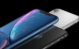 Apple kỳ vọng iPhone XR sẽ chiếm 50% tổng số lượng iPhone 2018 bán ra