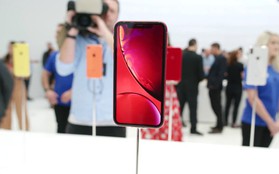 Soi kỹ từng màu của XR, mẫu iPhone dự kiến bán chạy hơn cả XS và XS Max