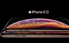 iPhone XS/XS Max bắt sóng yếu là do lỗi thiết kế anten?