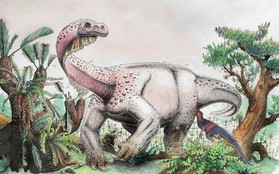 Nam Phi phát hiện hóa thạch khủng long sống cách đây 200 triệu năm