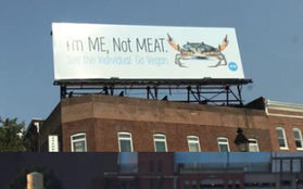 Mỹ: Cuộc chiến khốc liệt giữa tổ chức bảo vệ động vật và nhà hàng thịt cua