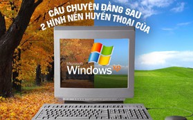 Câu chuyện trái ngang đằng sau 2 hình nền huyền thoại của Windows XP