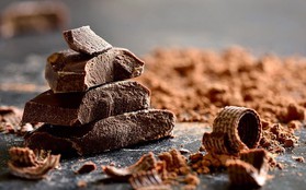 Tin buồn đầu năm: Thế giới có thể sẽ hết chocolate để ăn chỉ trong vòng 40 năm nữa?