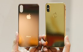 Đây là một chiếc iPhone X mạ vàng tại Việt Nam, đằng sau vẻ đẹp là sự đánh đổi