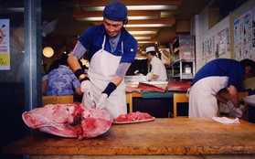 Trong chợ cá lớn nhất thế giới tại Nhật Bản: Mỗi con cá ngừ được bán với giá bằng vài ngôi nhà Nhật Bản