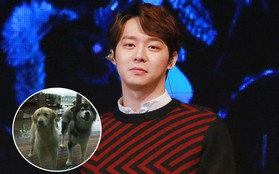 Hết Siwon lại đến Yoochun bị bạn thân đòi bồi thường 25 tỷ vì bị chó cưng cắn từ... 7 năm trước