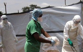 Dịch Ebola tại Congo diễn biến đáng lo ngại