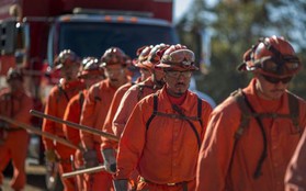 Mỹ thuê tù nhân dập lửa trong vụ cháy rừng thảm khốc nhất lịch sử