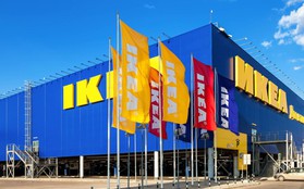 Gia đình người sáng lập IKEA giữ ngôi vương giàu nhất Thụy Sĩ