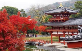 Hoàng cung Nhật Bản mở cửa đón khách ngắm lá mùa thu