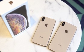 Bắt được fan Apple khôn nhất thế giới: Nâng cấp iPhone "sòn sòn" mỗi năm mà không tốn một xu