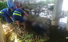 Cần thủ vứt cần câu bỏ chạy khi phát hiện thi thể cô gái nổi trên sông Sài Gòn