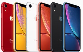 Apple spam khách hàng bằng email giục nâng cấp lên iPhone XR