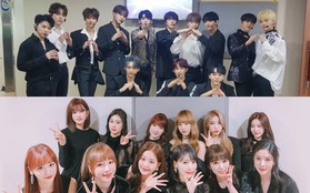 Nghe chuyện "ăn quả nhớ kẻ trồng cây" của fan IZ*ONE và SEVENTEEN, netizen ước gì các fandom luôn hoà bình như vậy