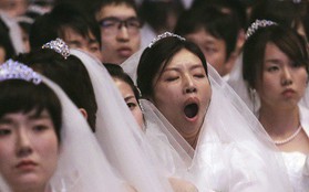 Giới trẻ Hàn Quốc lười hẹn hò, không muốn kết hôn