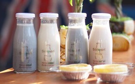 Tổng hợp những địa chỉ bán tất tần tật các loại sữa từ hạt ở Sài Gòn dành cho những người thích healthy