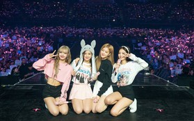 Sau BTS, BlackPink cũng rục rịch comeback nhưng fan lại "nổi đóa" khi nghe thời điểm