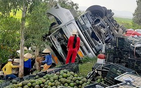 Hàng tấn trái cây tràn xuống đường, người dân nhặt giúp tài xế không sót quả nào