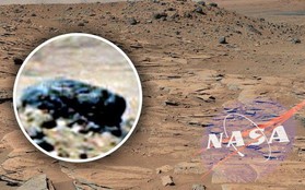 Cựu chuyên gia NASA khẳng định: Chúng ta đã tìm được bằng chứng về sự sống trên sao Hỏa