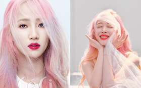 Netizen tố cáo Choiza gián tiếp hại chết Sulli, mỹ nhân Wonder Girls phản pháo lại hay đến mức khiến ai cũng phải gật gù