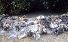 Bắt 2 người đàn ông đổ trộm dầu thải khiến nước sạch sông Đà bị ô nhiễm